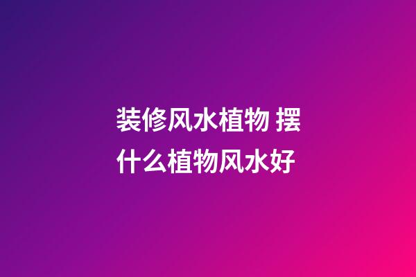 装修风水植物 摆什么植物风水好